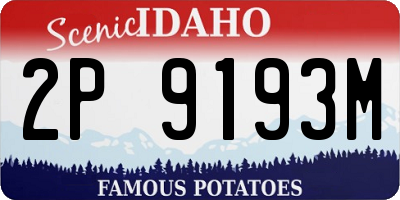 ID license plate 2P9193M