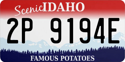 ID license plate 2P9194E