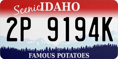 ID license plate 2P9194K