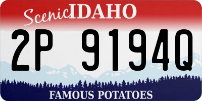 ID license plate 2P9194Q