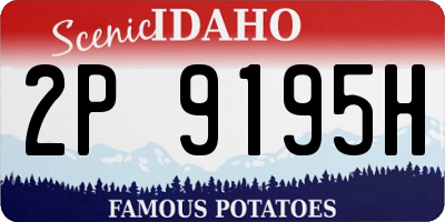 ID license plate 2P9195H