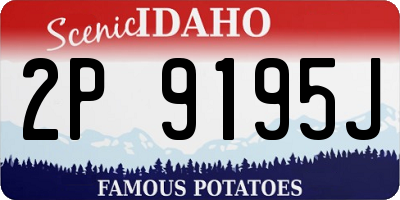 ID license plate 2P9195J