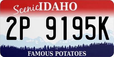 ID license plate 2P9195K