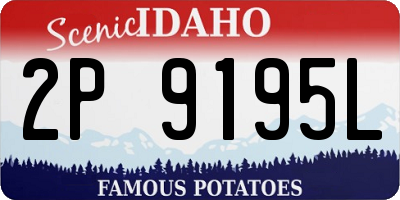 ID license plate 2P9195L