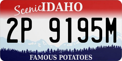 ID license plate 2P9195M