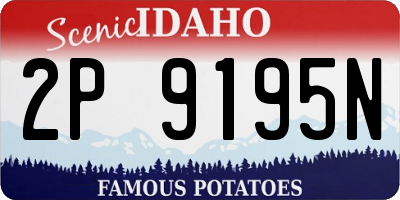 ID license plate 2P9195N