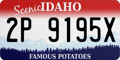 ID license plate 2P9195X