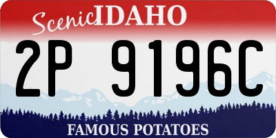 ID license plate 2P9196C
