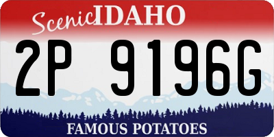 ID license plate 2P9196G
