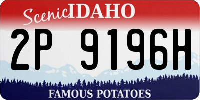 ID license plate 2P9196H
