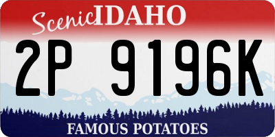 ID license plate 2P9196K