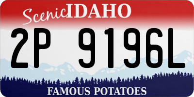 ID license plate 2P9196L
