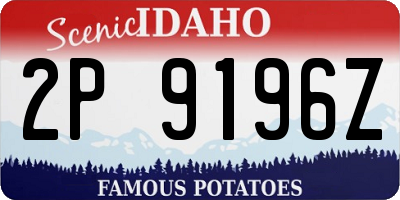 ID license plate 2P9196Z