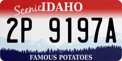 ID license plate 2P9197A