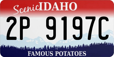 ID license plate 2P9197C