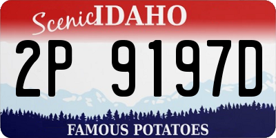 ID license plate 2P9197D