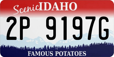 ID license plate 2P9197G