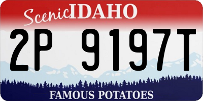 ID license plate 2P9197T