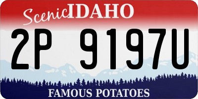 ID license plate 2P9197U