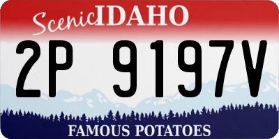 ID license plate 2P9197V