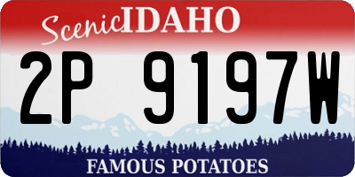 ID license plate 2P9197W