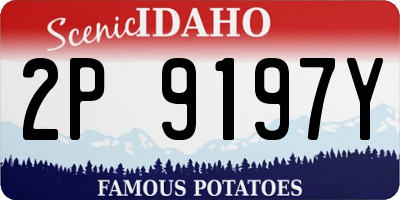 ID license plate 2P9197Y