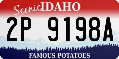 ID license plate 2P9198A