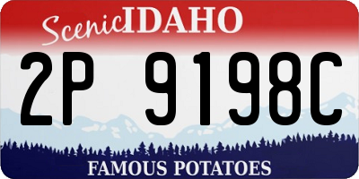 ID license plate 2P9198C