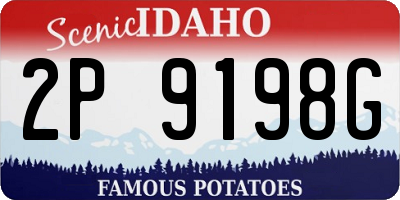 ID license plate 2P9198G