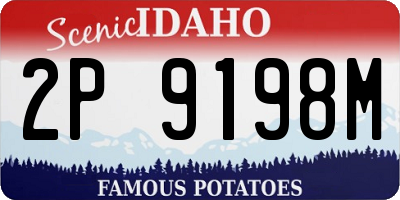 ID license plate 2P9198M