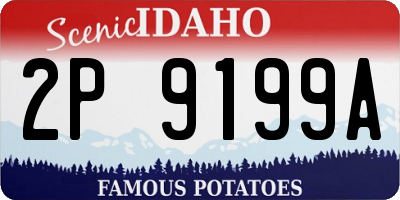 ID license plate 2P9199A