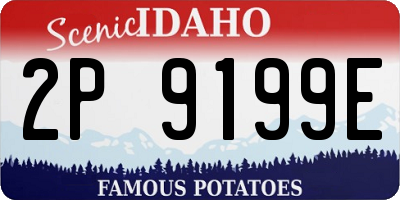 ID license plate 2P9199E