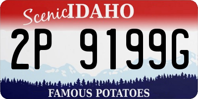 ID license plate 2P9199G