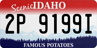 ID license plate 2P9199I