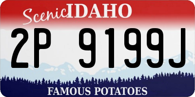 ID license plate 2P9199J