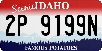 ID license plate 2P9199N