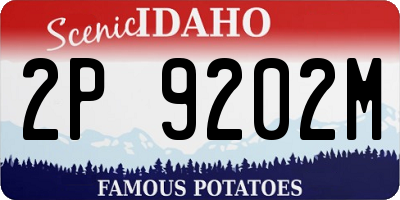 ID license plate 2P9202M