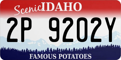 ID license plate 2P9202Y