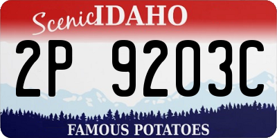 ID license plate 2P9203C