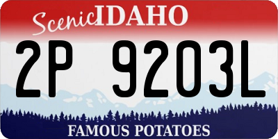ID license plate 2P9203L