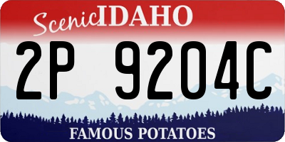 ID license plate 2P9204C
