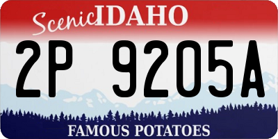 ID license plate 2P9205A