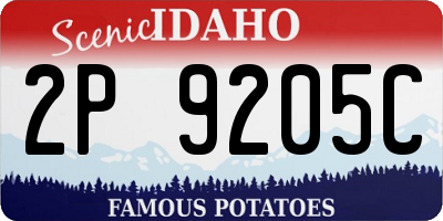 ID license plate 2P9205C