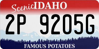 ID license plate 2P9205G