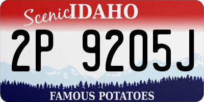 ID license plate 2P9205J