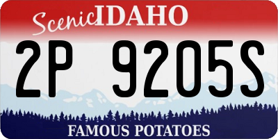 ID license plate 2P9205S