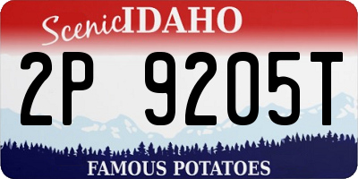 ID license plate 2P9205T