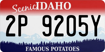 ID license plate 2P9205Y