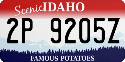 ID license plate 2P9205Z