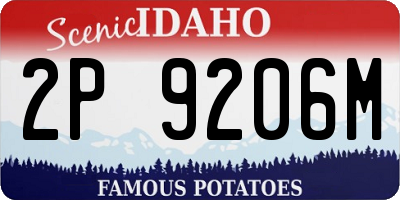 ID license plate 2P9206M